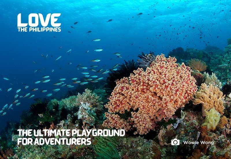 How to Secure Themed Restaurants Tokyo Reservations Easily